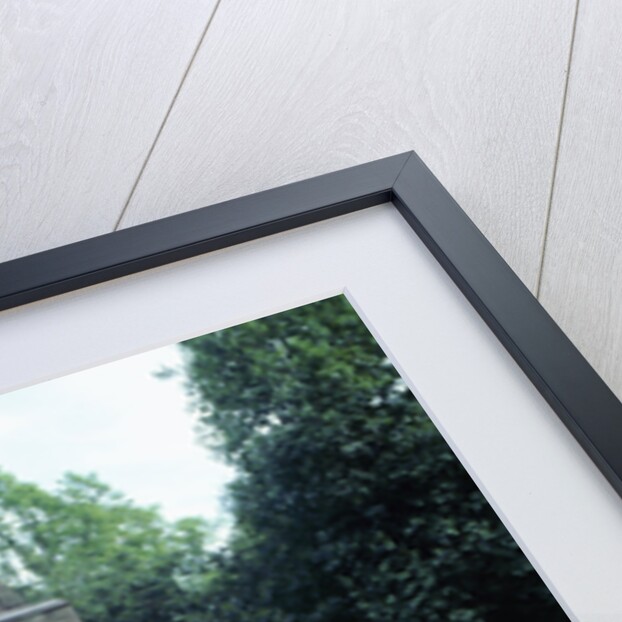 1974 De Tomaso Pantera GP4 by Unknown