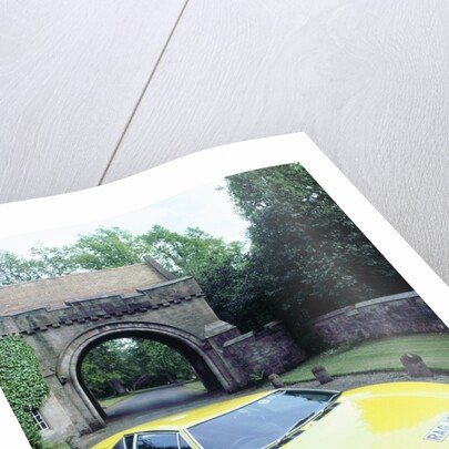 1974 De Tomaso Pantera GP4 by Unknown