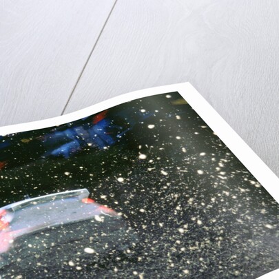 1999 Ford Focus WRC, C.McRae. Network Q Rally with flying mud! by Unknown