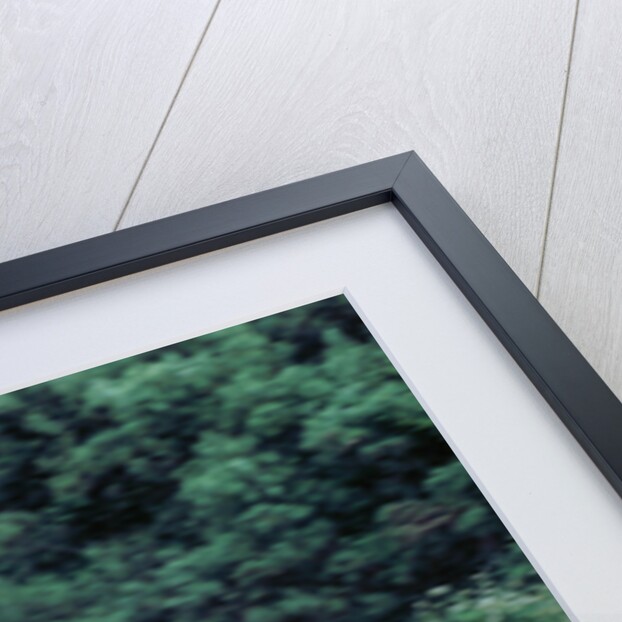 2002 Coach on M27 motorway by Unknown