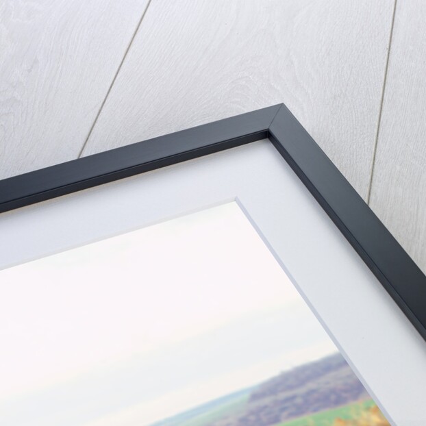 1950 Healey Silverstone by Unknown