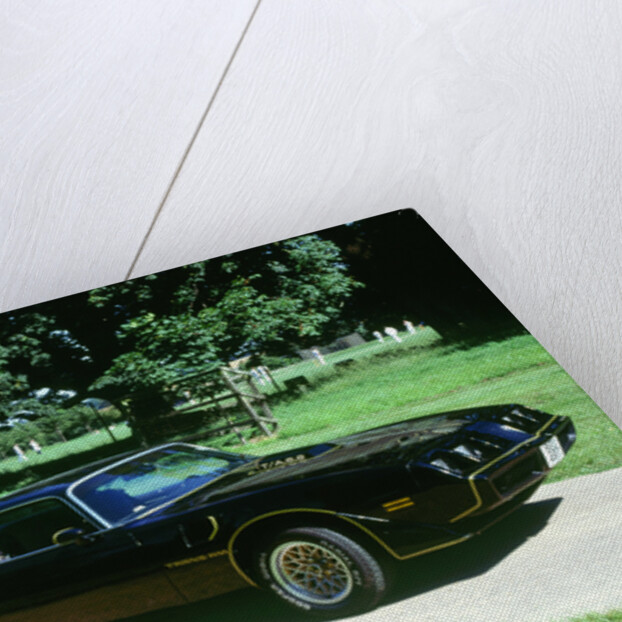 1979 Pontiac Firebird Trans Am by Unknown