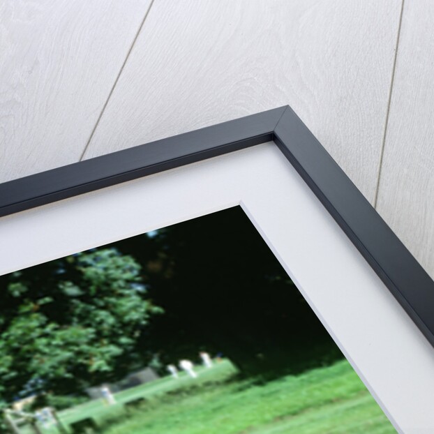 1979 Pontiac Firebird Trans Am by Unknown