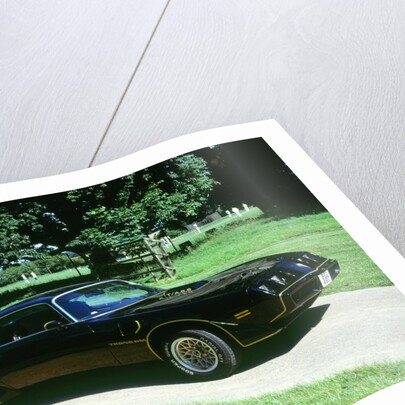 1979 Pontiac Firebird Trans Am by Unknown
