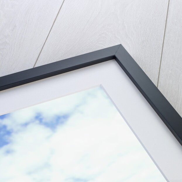 2000 Yamaha XJ 600s Diversion motorcycle by Unknown