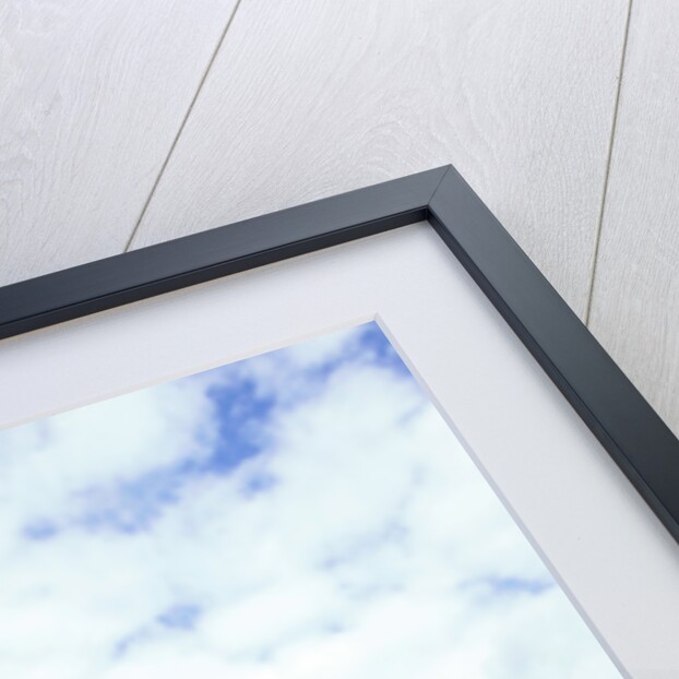 2000 Yamaha XJ 600s Diversion motorcycle by Unknown