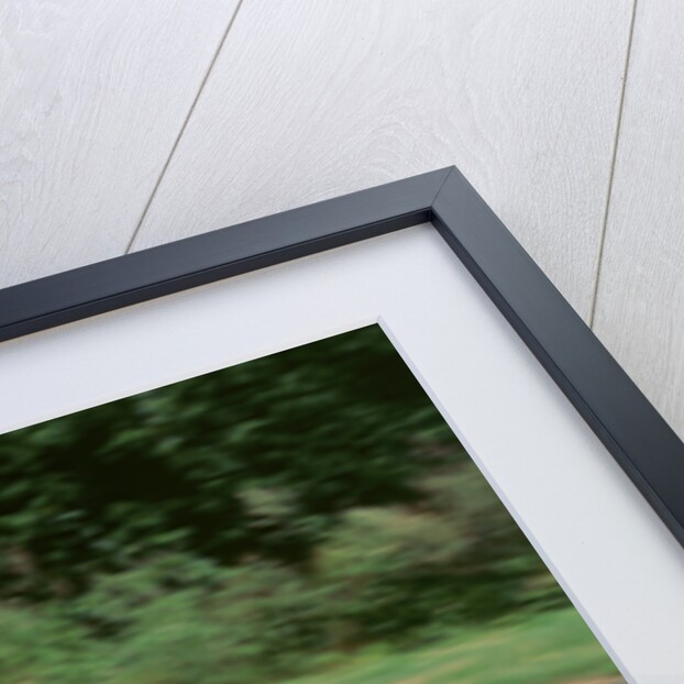 1996 Triumph Adventurer motorcycle by Unknown