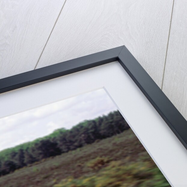 1996 Suzuki Bandit N600 motorcycle by Unknown