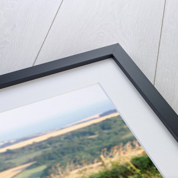 1999 Alfa Romeo 166 by Unknown