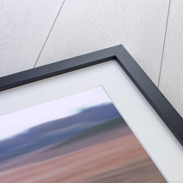 2001 Mini Cooper by Unknown