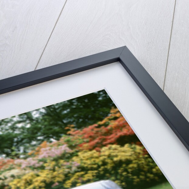 1979 Porsche 911 Turbo by Unknown