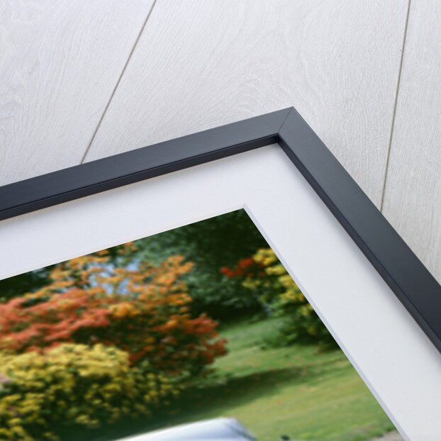 1979 Porsche 911 Turbo by Unknown