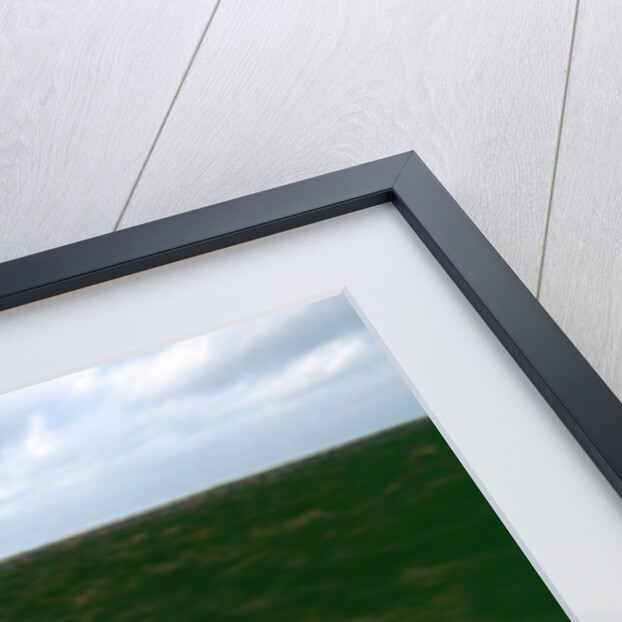 1999 Audi TT Quattro by Unknown