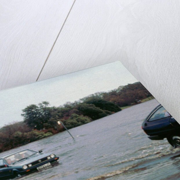 Flooding at Beaulieu by Unknown