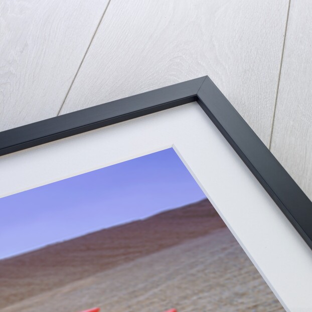 1993 Lotus Esprit S4 by Unknown