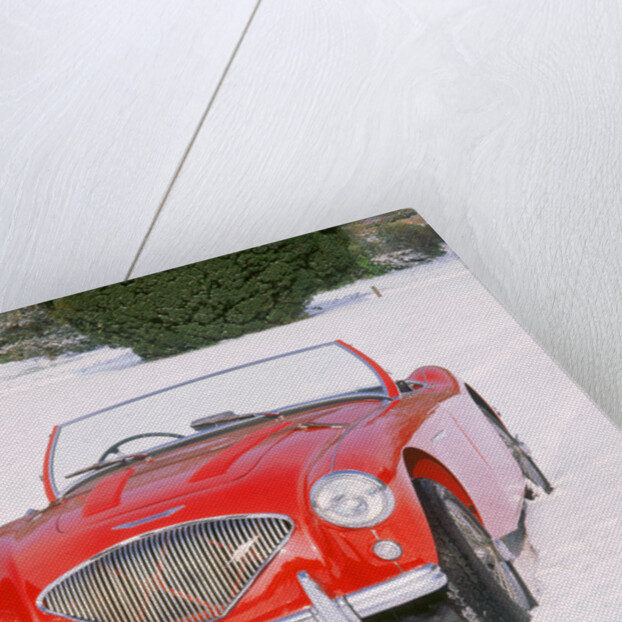 1956 Austin Healey 100 M by Unknown