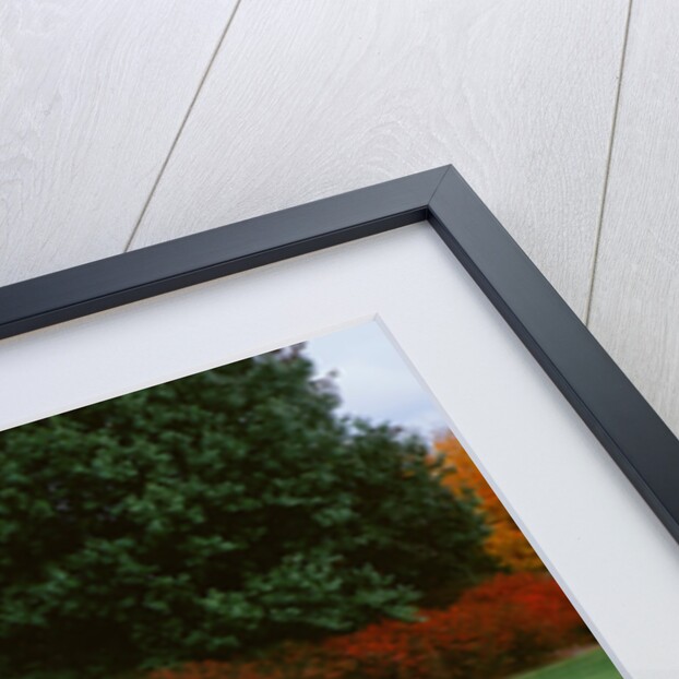 1954 Chevrolet Bel Air by Unknown