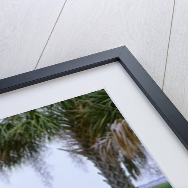 1957 Cadillac Eldorado Biarritz by Unknown