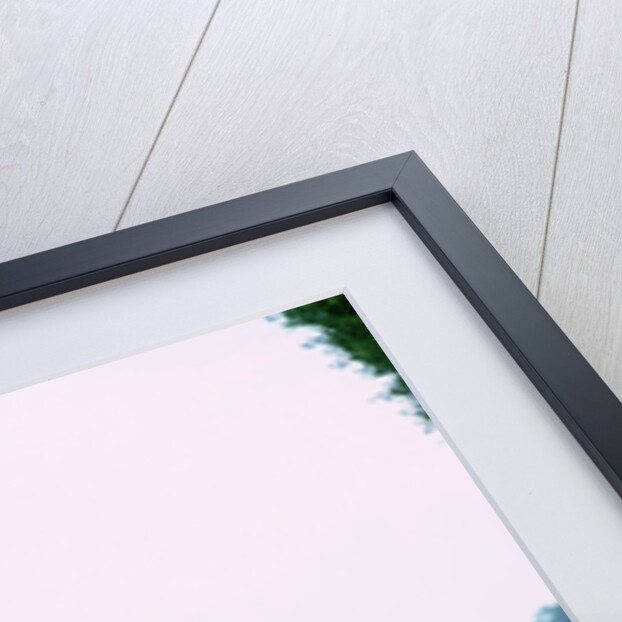 1950 Volkswagen Beetle by Unknown