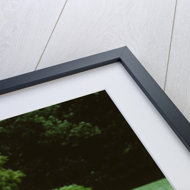 1951 Ford Crestliner by Unknown