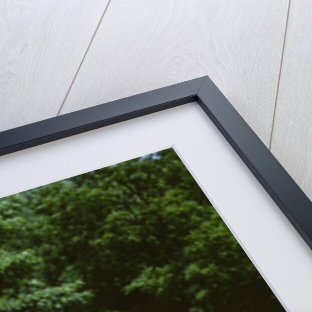 1951 Ford Crestliner by Unknown