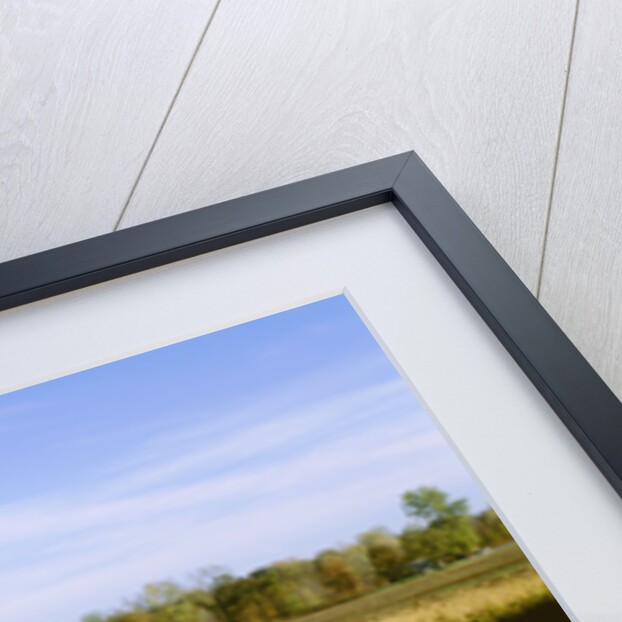 1969 Ford Mustang Mach 1 by Unknown