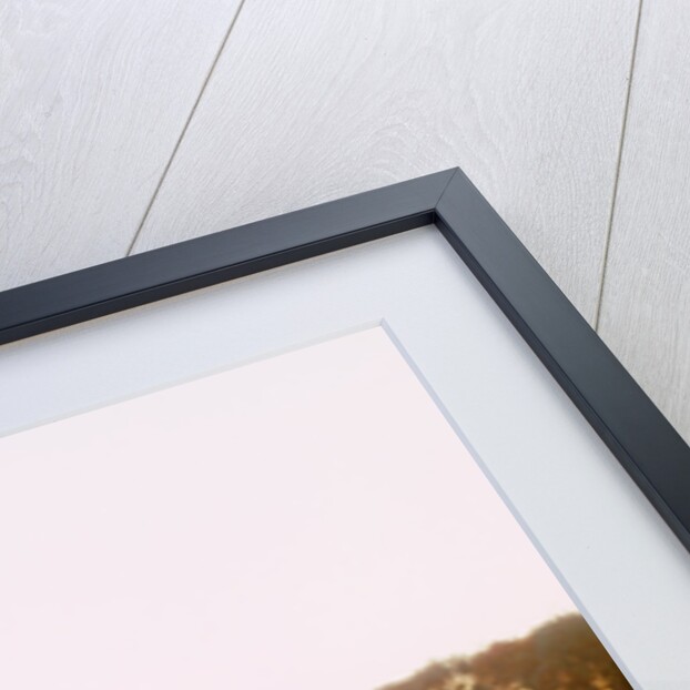 1968 Ford mustang GT350 Shelby cobra by Unknown