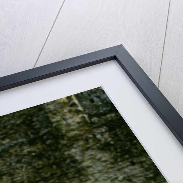 1912 Hispano Suiza Alfonso by Unknown