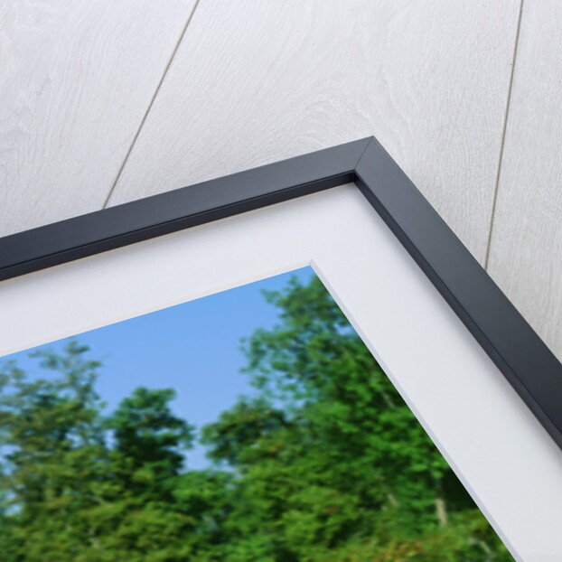 1963 Daimler V250 by Unknown