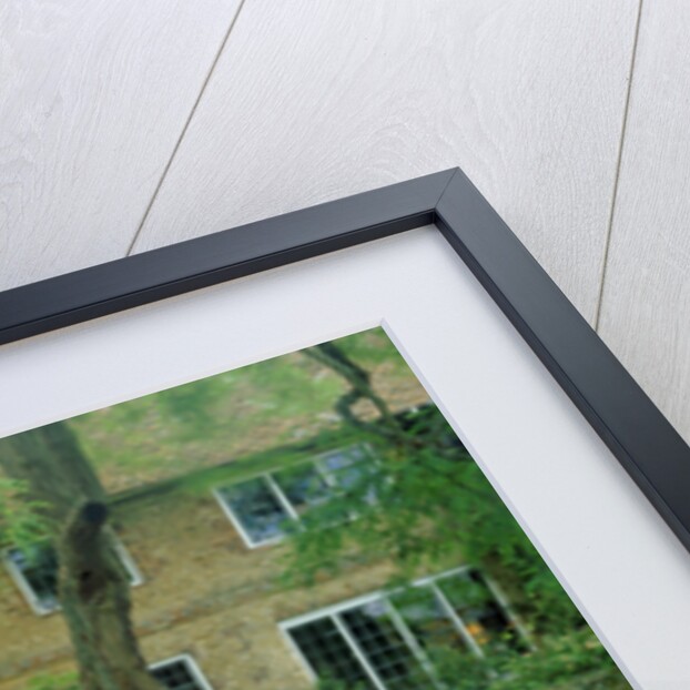 1964 AC Cobra by Unknown