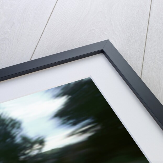 1999 Ford Fiesta Zetec by Unknown