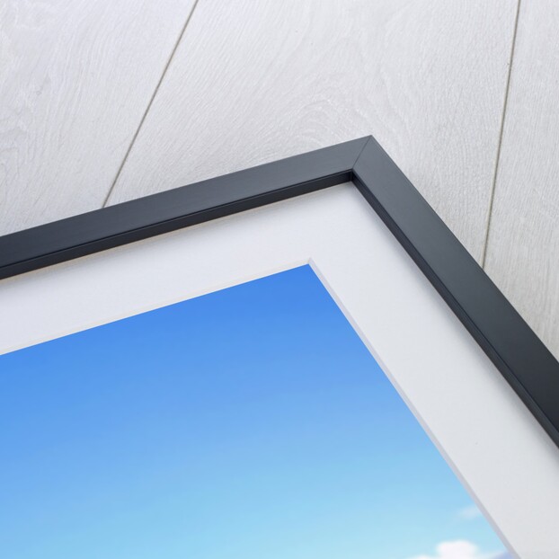 2003 Ford Fiesta LX by Unknown