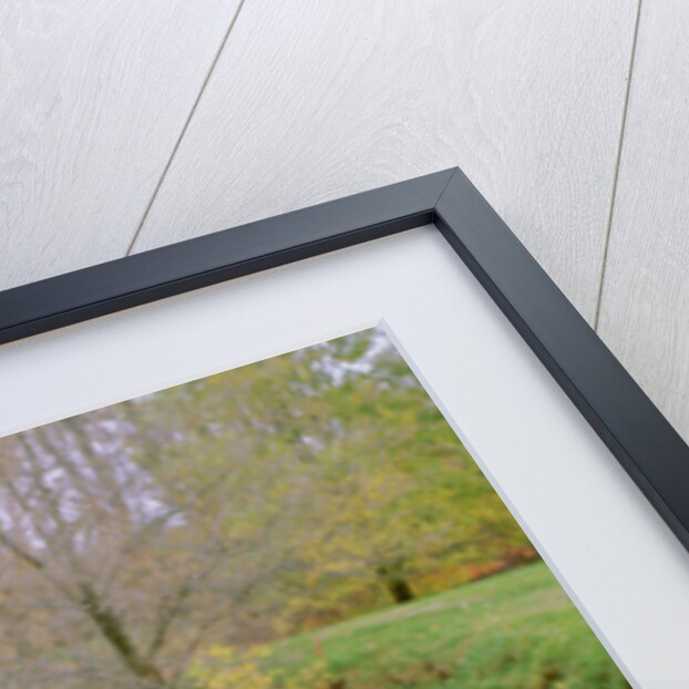 1982 Chevrolet Camaro Z28 by Unknown