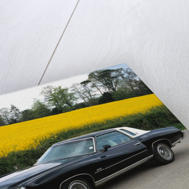 1973 Chevrolet Monte Carlo Landau by Unknown