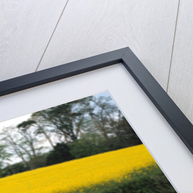 1973 Chevrolet Monte Carlo Landau by Unknown