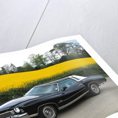 1973 Chevrolet Monte Carlo Landau by Unknown