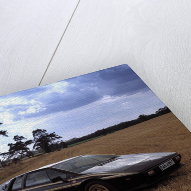 1978 Lotus Esprit Celebratory Edition by Unknown