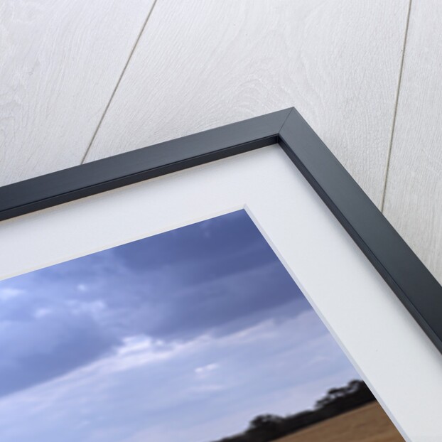 1978 Lotus Esprit Celebratory Edition by Unknown