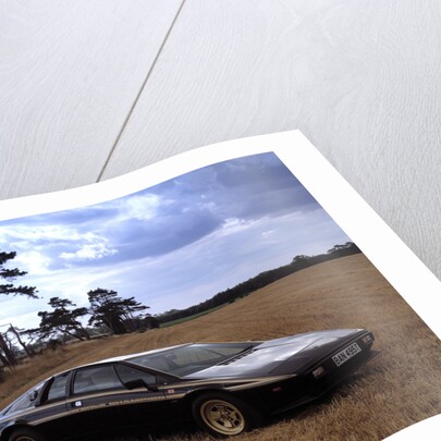 1978 Lotus Esprit Celebratory Edition by Unknown
