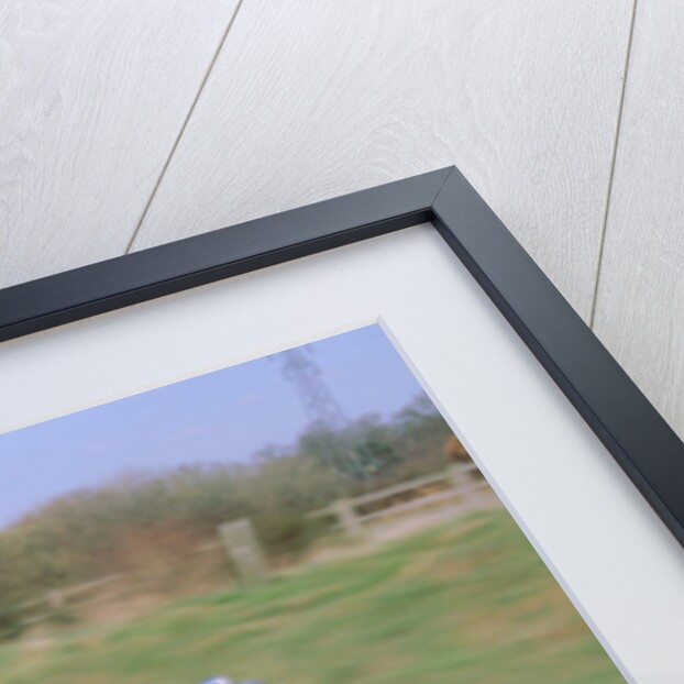 1952 Frazer Nash Le Mans Replica by Unknown