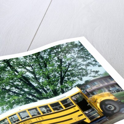 American School Bus,Texas by Unknown
