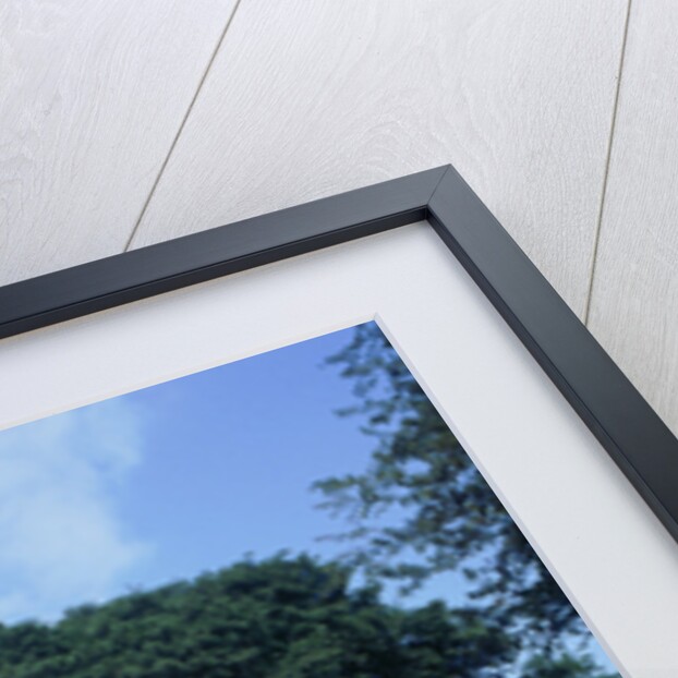 American Ford Ambulance, 1994 by Unknown