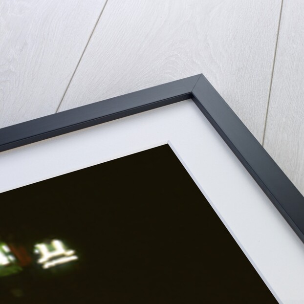 1999 Peugeot 206 WRC Network Q Rally, Gronholm by Unknown