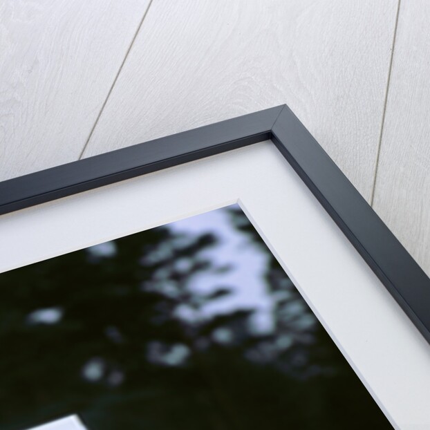 No cycling-Foot and Mouth closure 2001. New Forest by Unknown