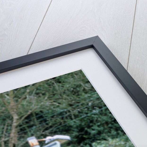 No Entry, Road sign by Unknown