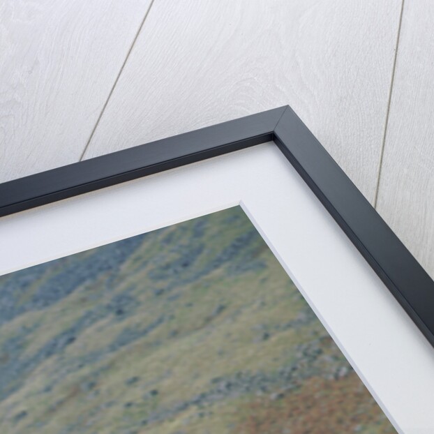 1998 Isuzu Trooper Duty by Unknown