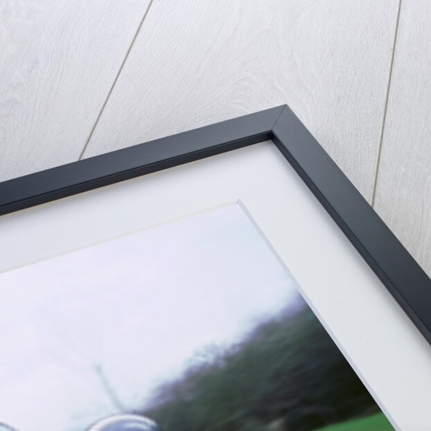 1979 TVR Taimar by Unknown