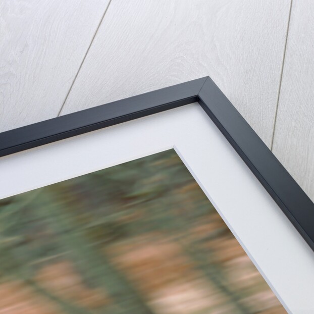 2001 Subaru Impreza WRX by Unknown