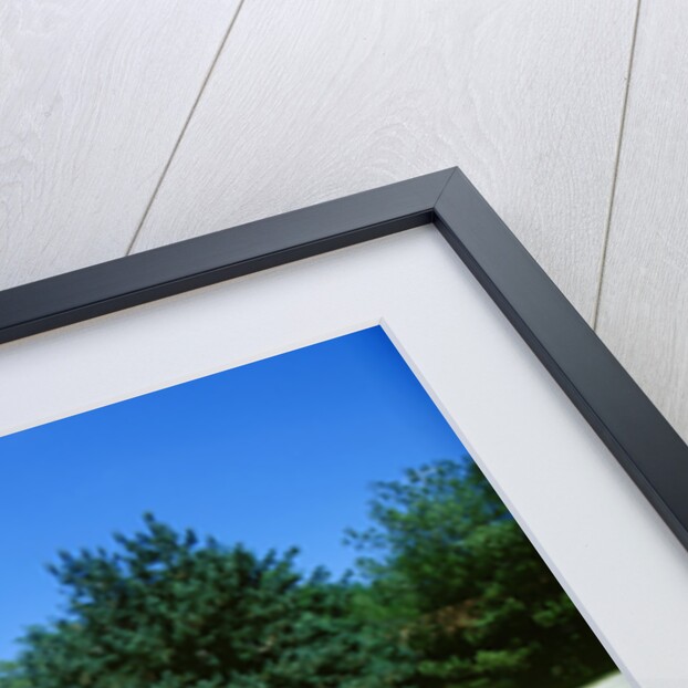 1959 Cadillac Series 62 by Unknown