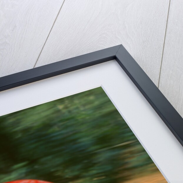 1988 Ferrari F40 by Unknown